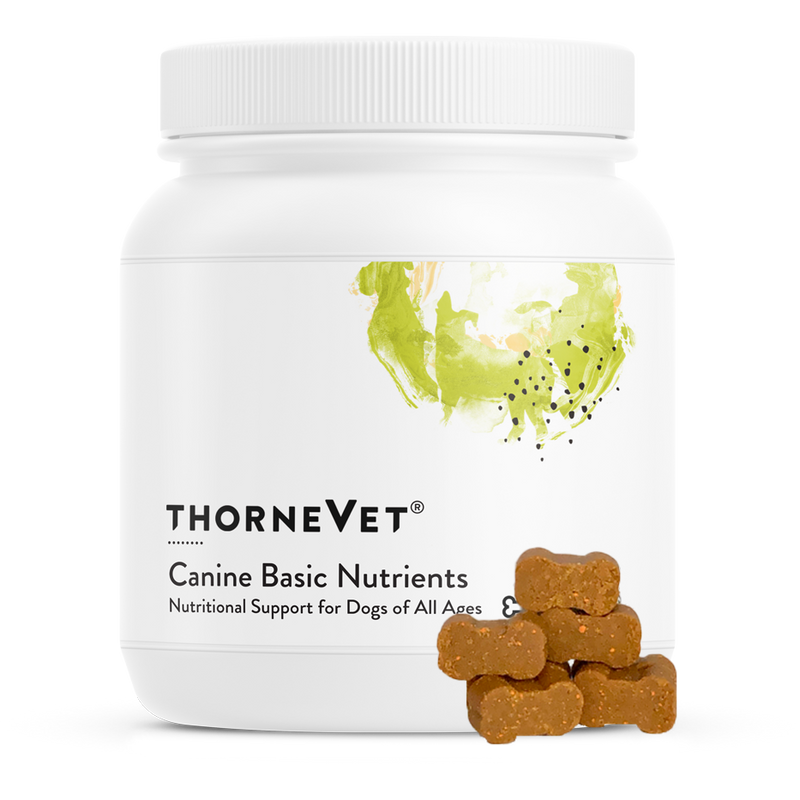 Canine Basic Nutrients (90 Soft Chews)