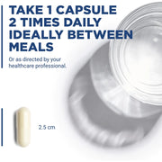 Lipoic Acid 300 mg (60 Capsules)