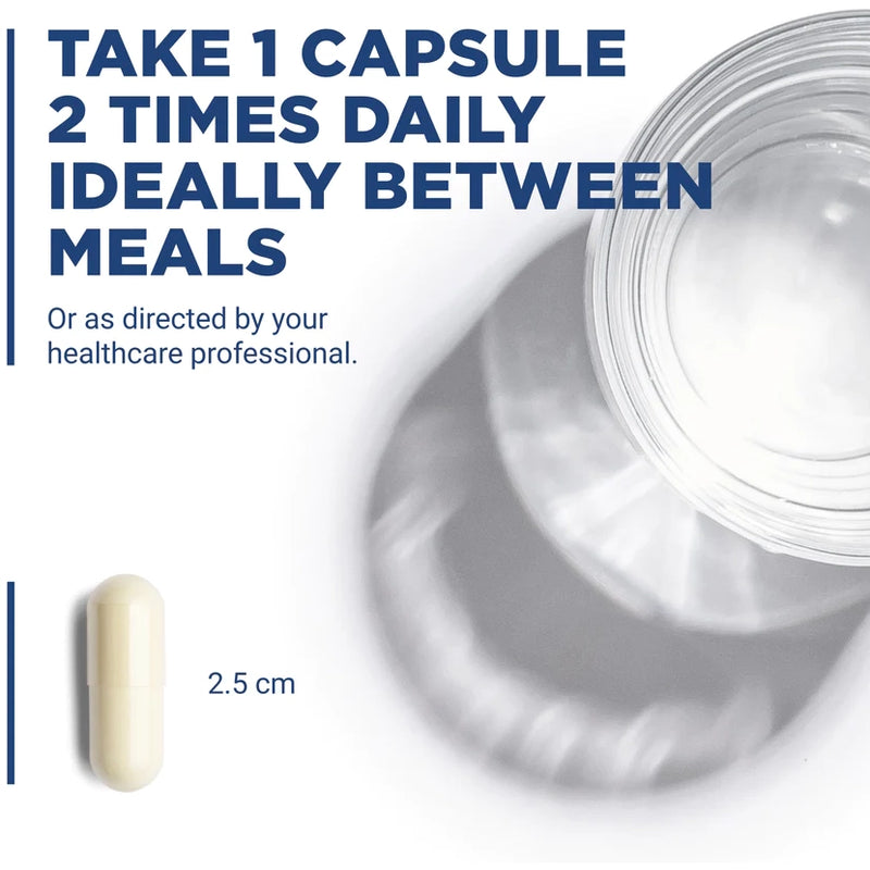 Lipoic Acid 300 mg (60 Capsules)