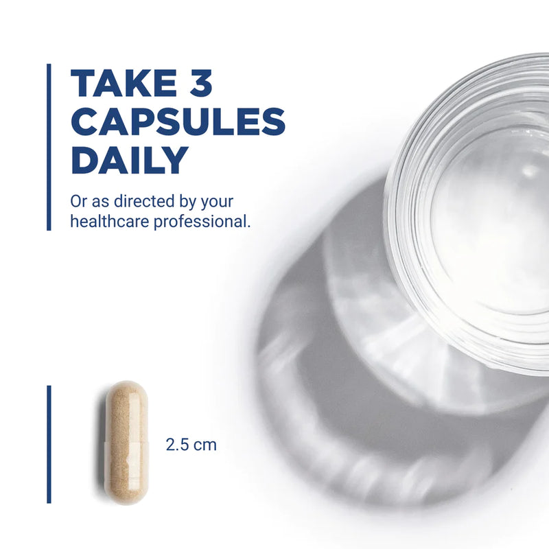B6 + B Complex (60 Capsules)