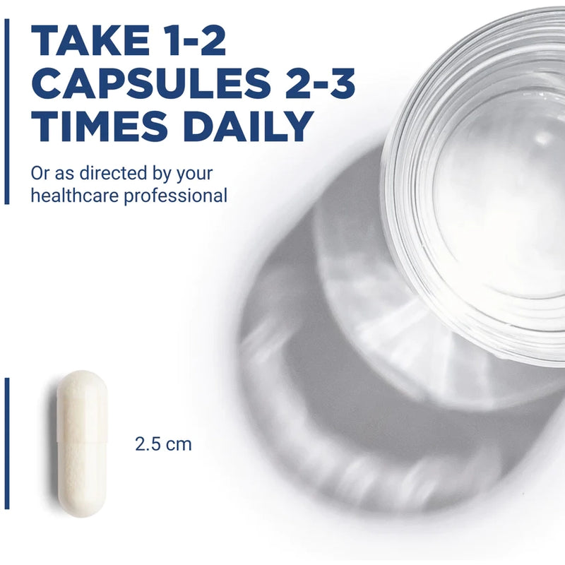 Carnitine 500 mg (60 Capsules)