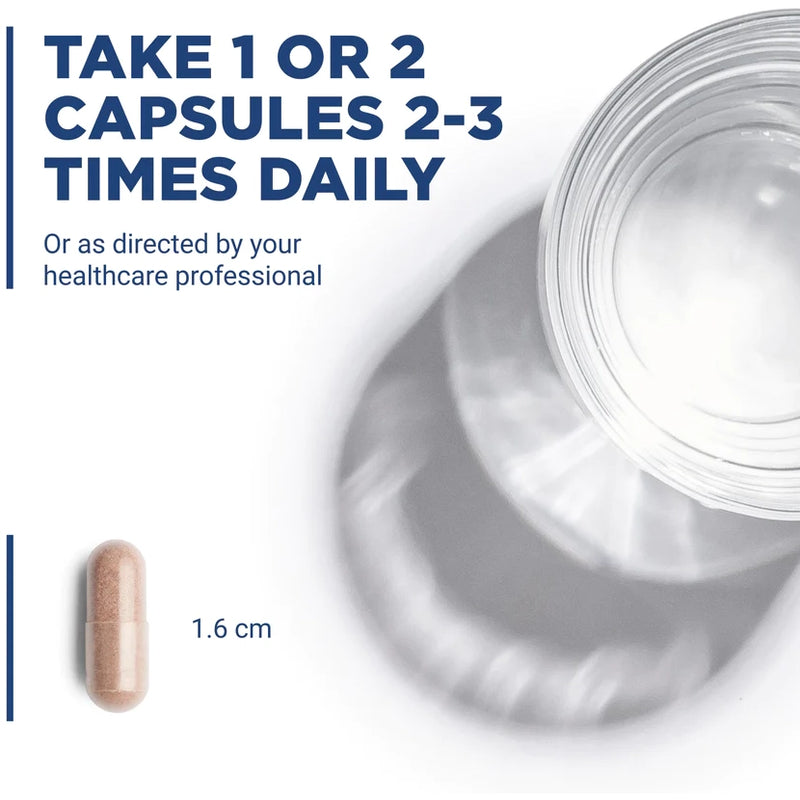 Grape Seed Extract 100 mg (90 Capsules)