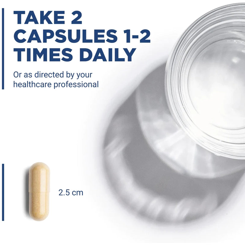 Liver Support II (with Picrorhiza) (60 Capsules)