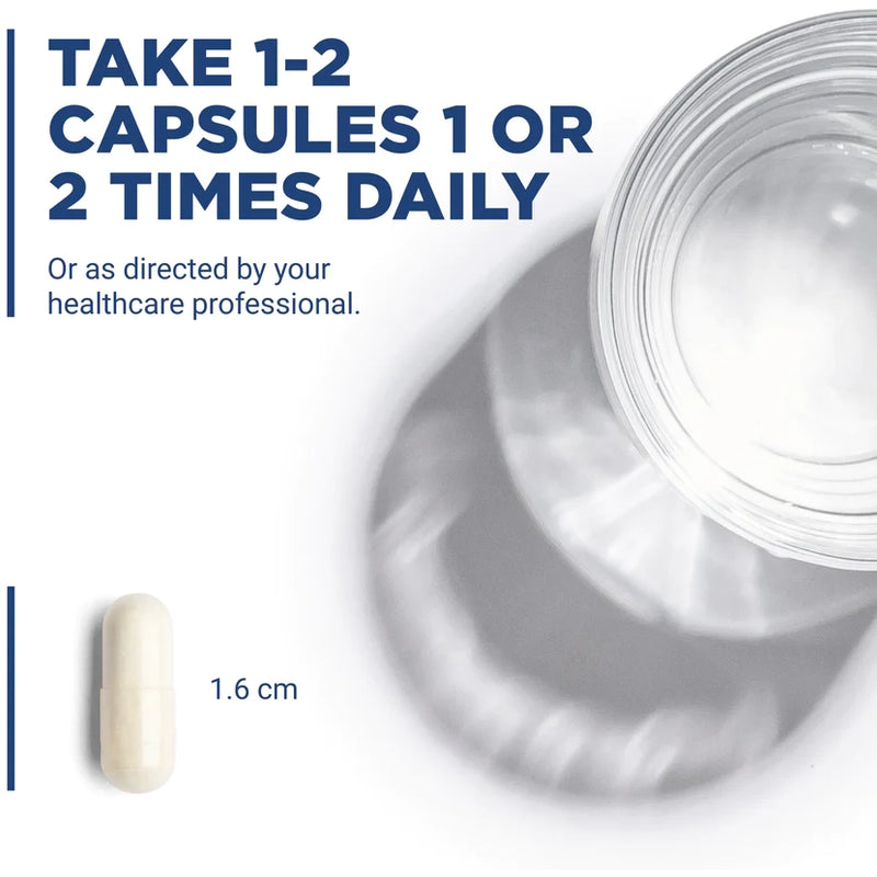 Pyridoxal-5 Phosphate 50 mg (90 Capsules)