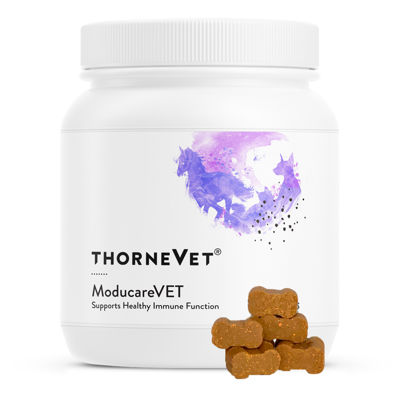 ModucareVET