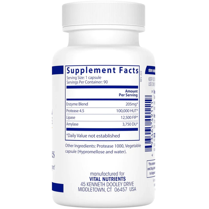 Vital Nutrients - Vegan Pancreatic Enzymes - 90 Capsules — Pine Street ...