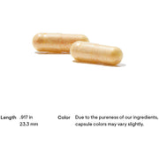 B-Complex #6 (60 Capsules)