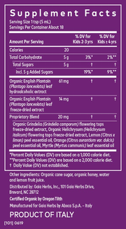 GaiaKids Bronchial Wellness Syrup (3 oz)