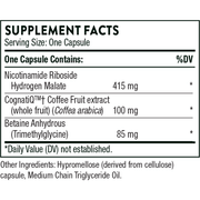 Brain Factors (30 Capsules)