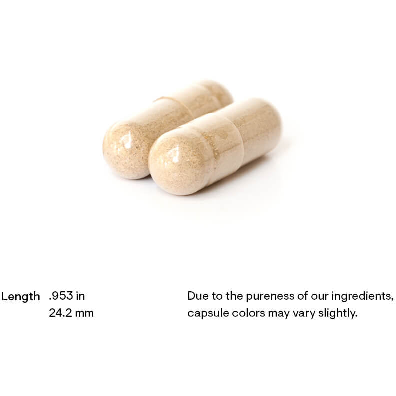 Brain Factors (30 Capsules)