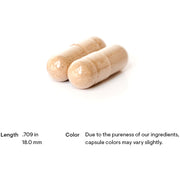 Rhodiola (60 Capsules)