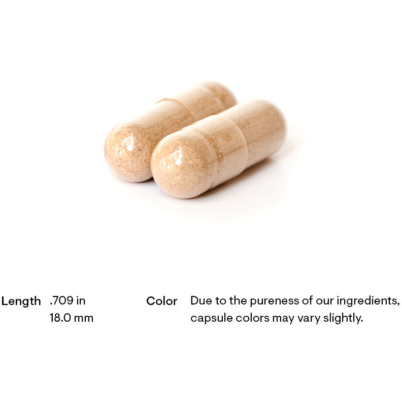 Rhodiola (60 Capsules)