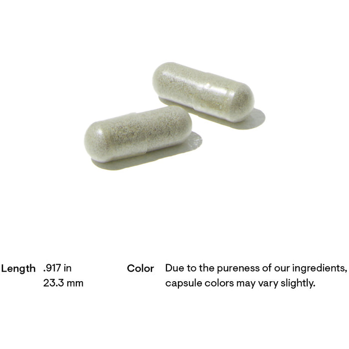 Diabenil (90 Capsules)-Vitamins & Supplements-Thorne-Pine Street Clinic
