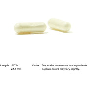 Alpha-Lipoic Acid (60 Capsules)