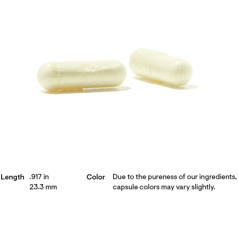 Alpha-Lipoic Acid (60 Capsules)