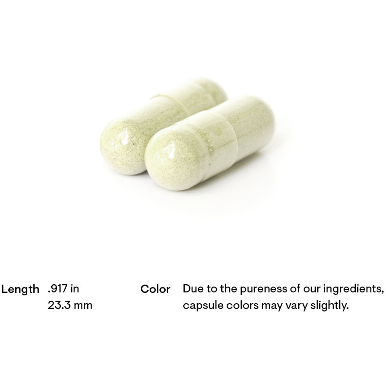 Boswellia Phytosome (60 Capsules)