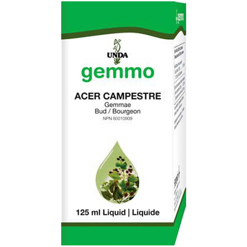 Acer Campestre (125 ml)