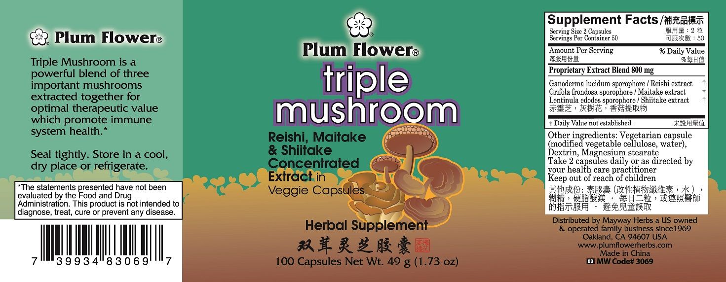 Triple Mushroom Capsules (100 Capsules)-Plum Flower-Pine Street Clinic